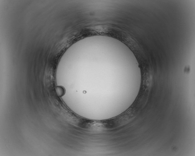 X0000115440518200911181526