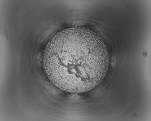 X0000115440519200911181526