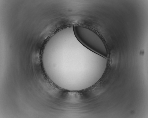 X0000115440520200911181526