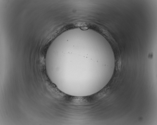 X0000115440521200911181526