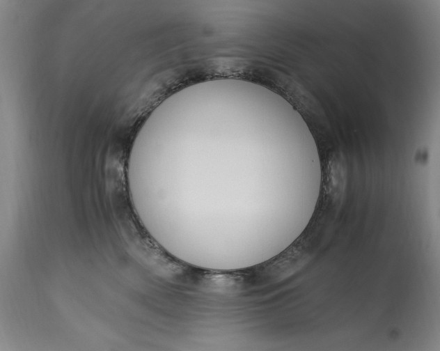 X0000115440522200911181526