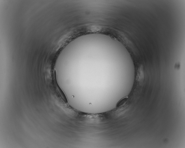 X0000115440524200911181526