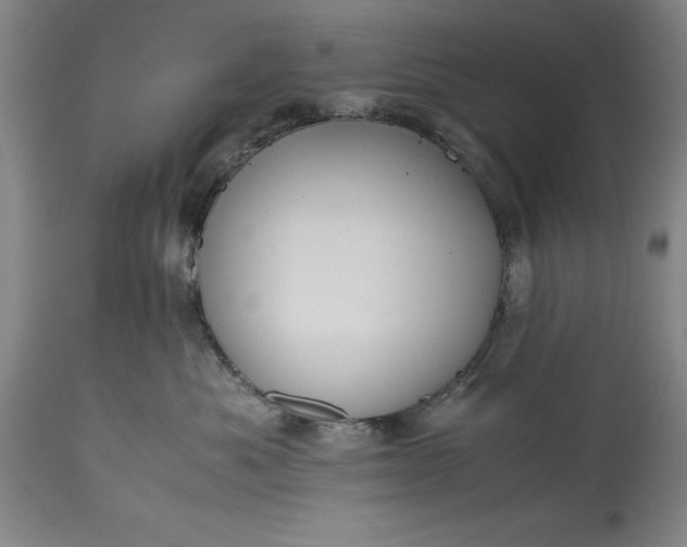 X0000115440525200911181526