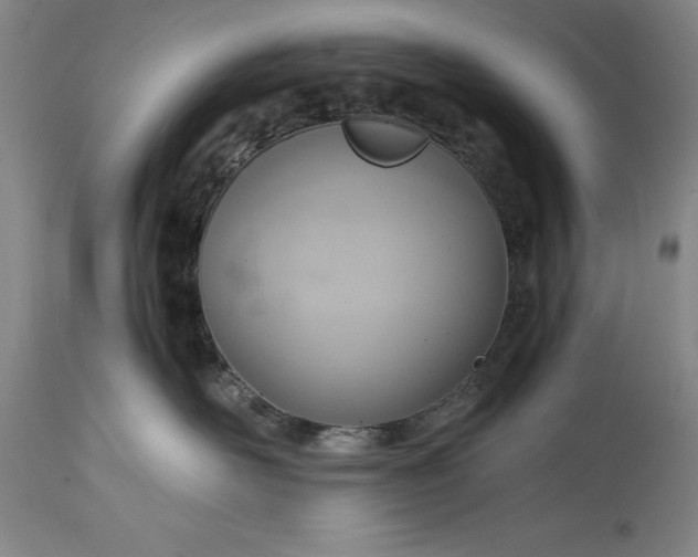 X0000115440526200911181526