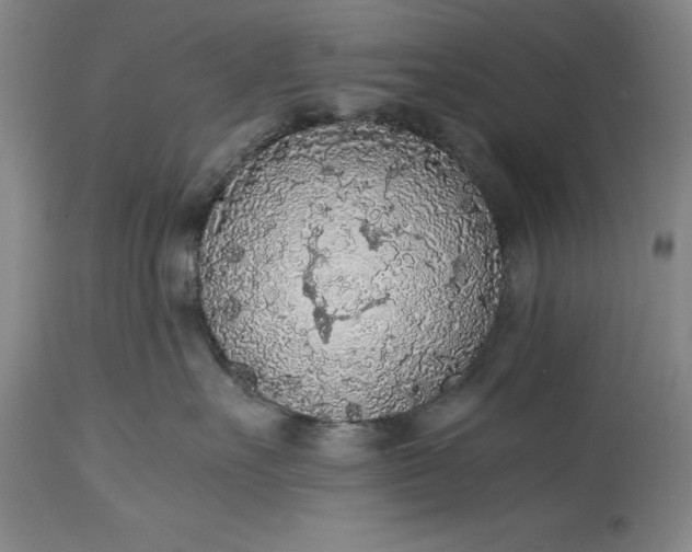 X0000115440527200911181526