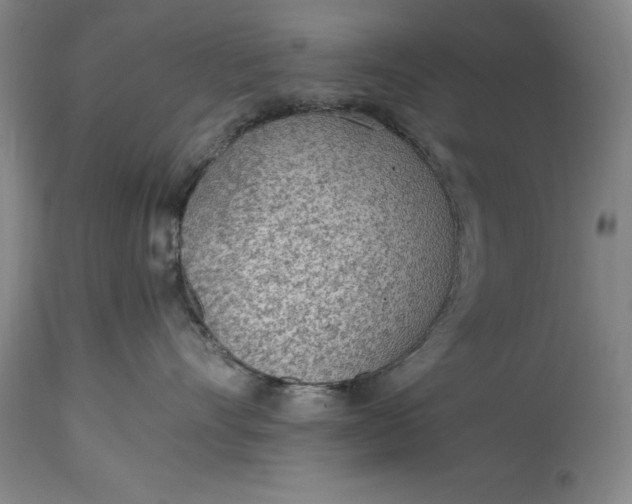 X0000115440528200911181526
