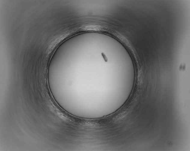 X0000115440529200911181525
