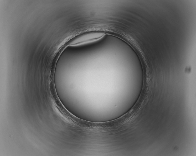 X0000115440530200911181525
