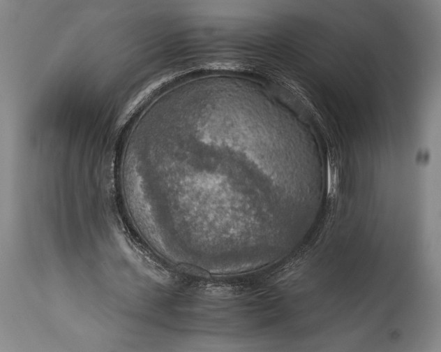 X0000115440531200911181525
