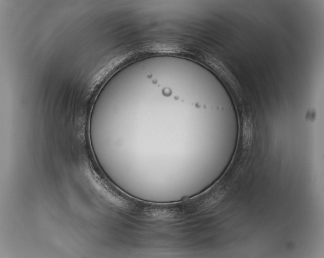 X0000115440533200911181525