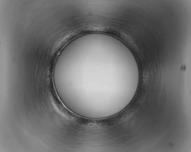 X0000115440538200911181525