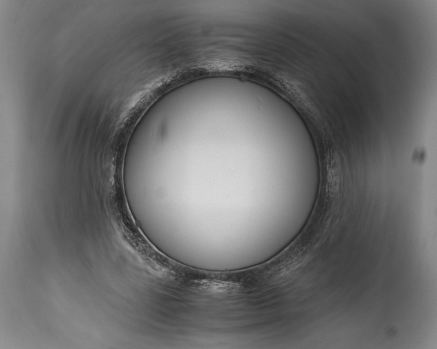 X0000115440539200911181525