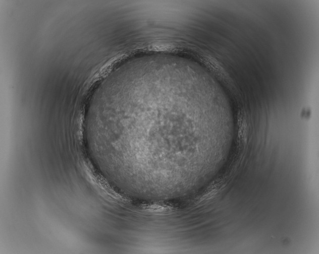 X0000115440542200911181525