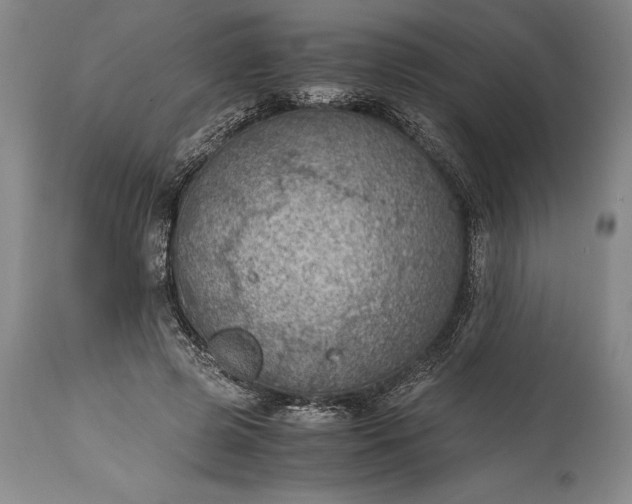 X0000115440545200911181525