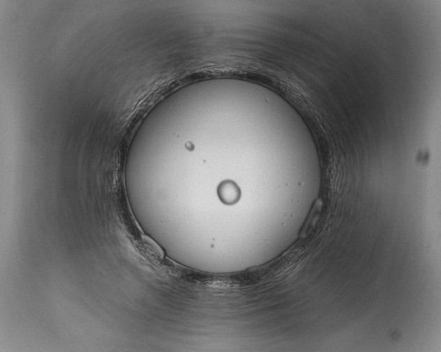 X0000115440546200911181525