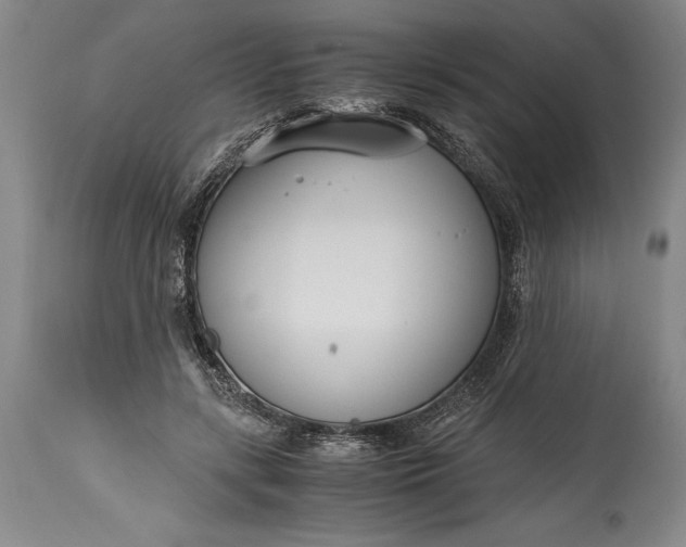 X0000115440547200911181526