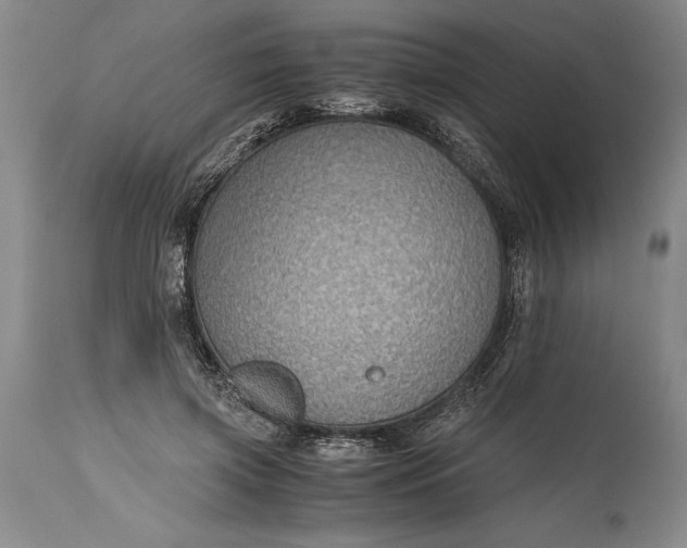 X0000115440549200911181526