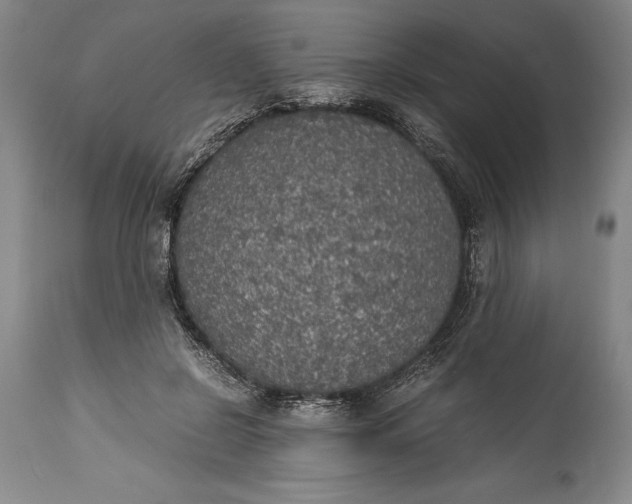 X0000115440550200911181526