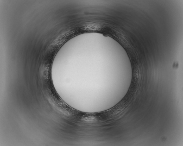 X0000115440551200911181526