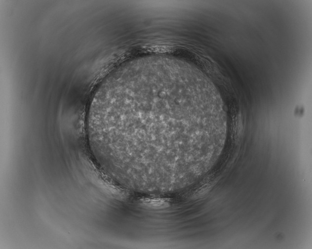 X0000115440553200911181526