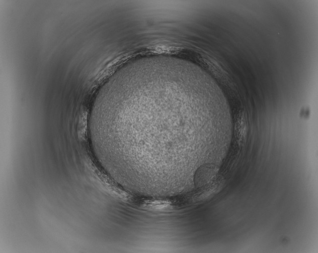 X0000115440554200911181526