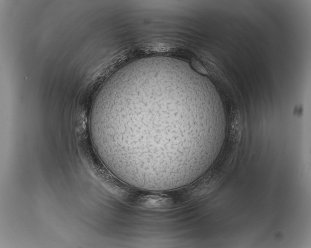 X0000115440555200911181526