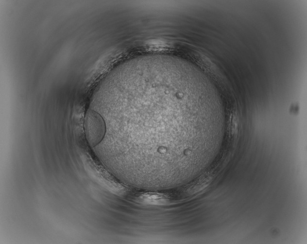 X0000115440557200911181526