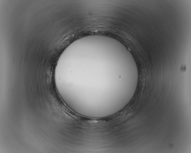X0000115440558200911181526