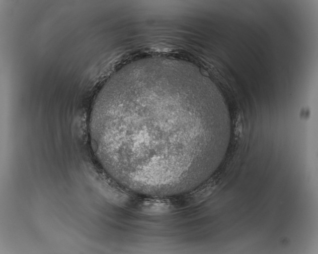 X0000115440559200911181526