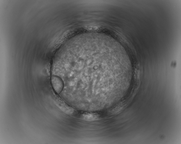 X0000115440561200911181526