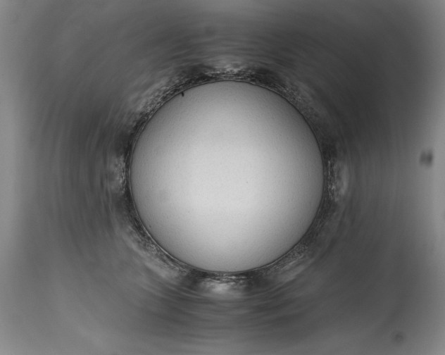 X0000115440563200911181526