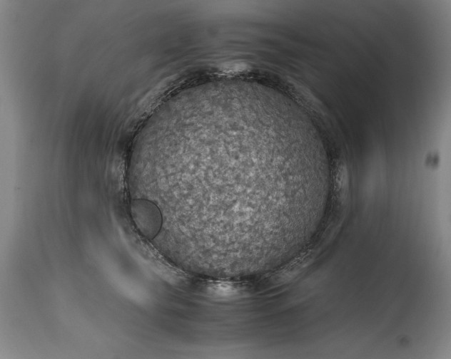 X0000115440565200911181526