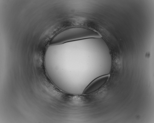 X0000115440566200911181526