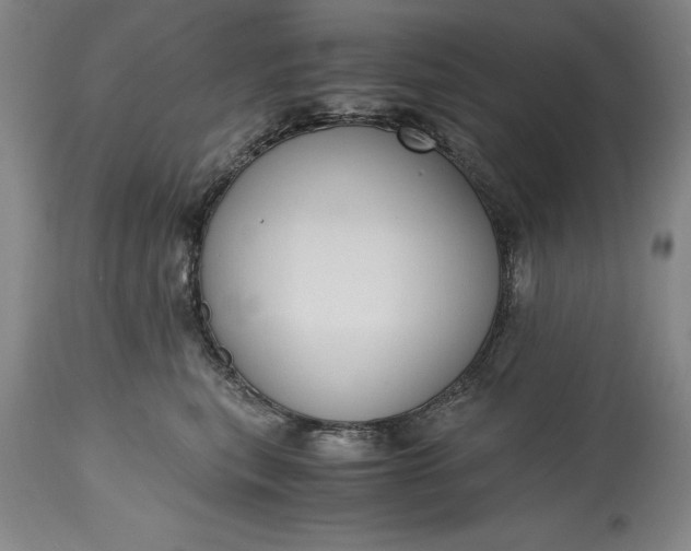 X0000115440567200911181526