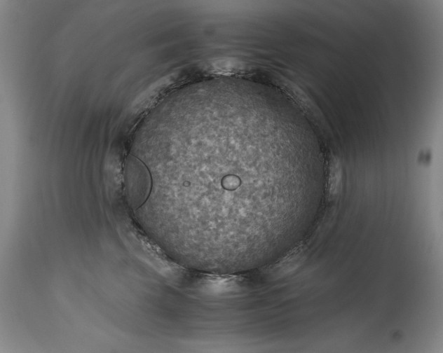 X0000115440569200911181526