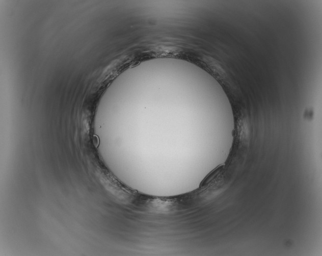 X0000115440570200911181526