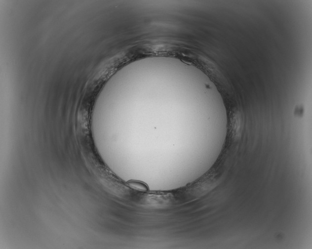 X0000115440571200911181526