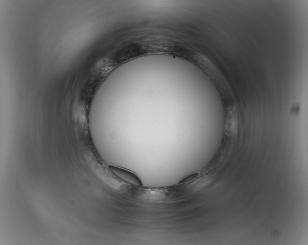 X0000115440573200911181526