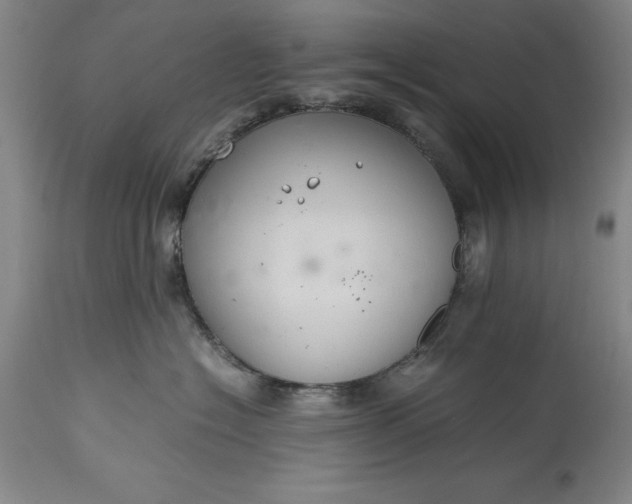 X0000115440574200911181526
