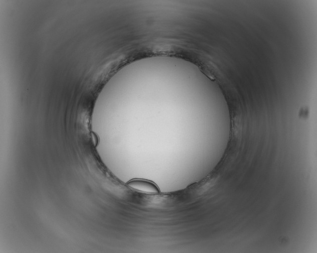 X0000115440575200911181526