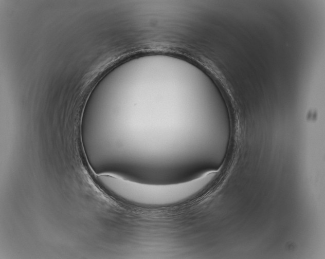 X0000115440577200911181525