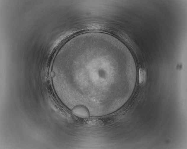 X0000115440579200911181525