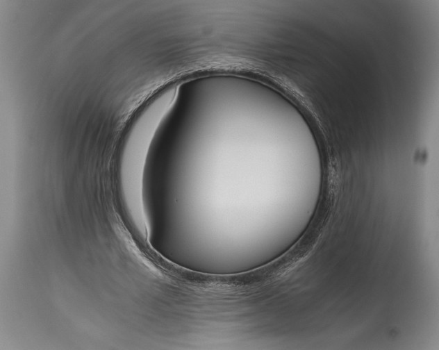 X0000115440581200911181525