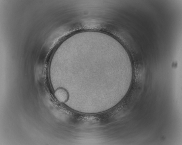 X0000115440583200911181525