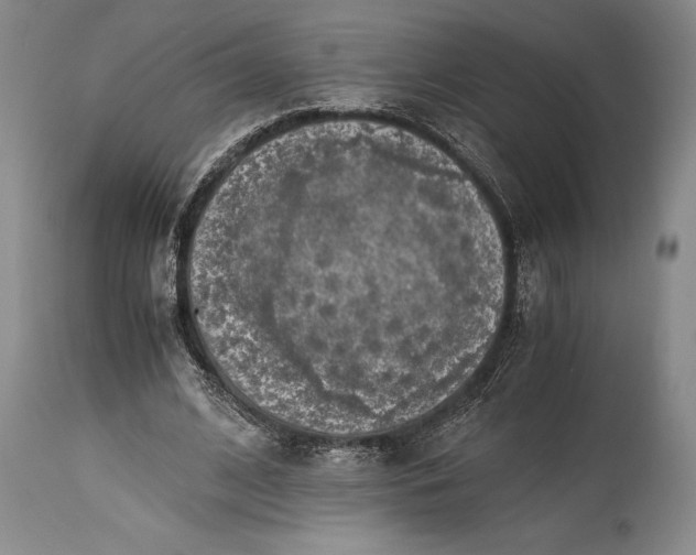 X0000115440584200911181525
