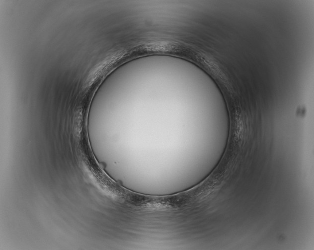 X0000115440586200911181525