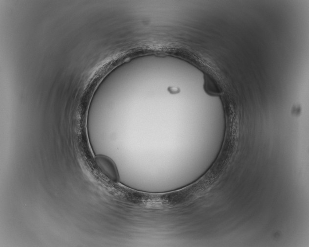 X0000115440587200911181525