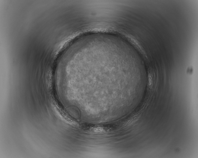 X0000115440588200911181525