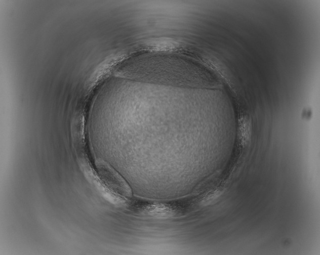 X0000115440589200911181525