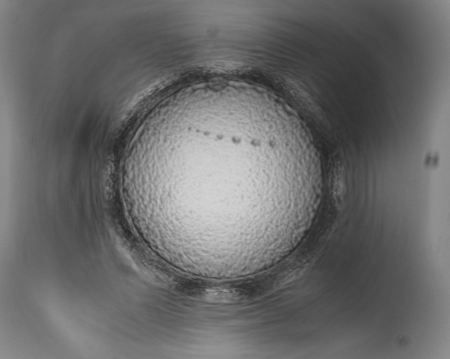 X0000115440591200911181525